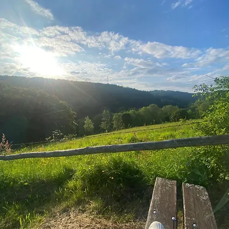 Naturquartier Am Osterkopf Usseln