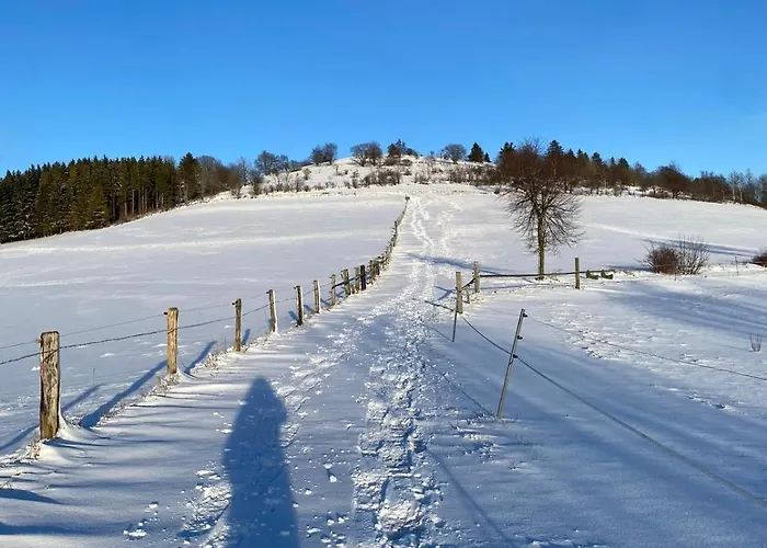 公寓 Naturquartier Am Osterkopf Usseln